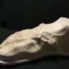 roman foot